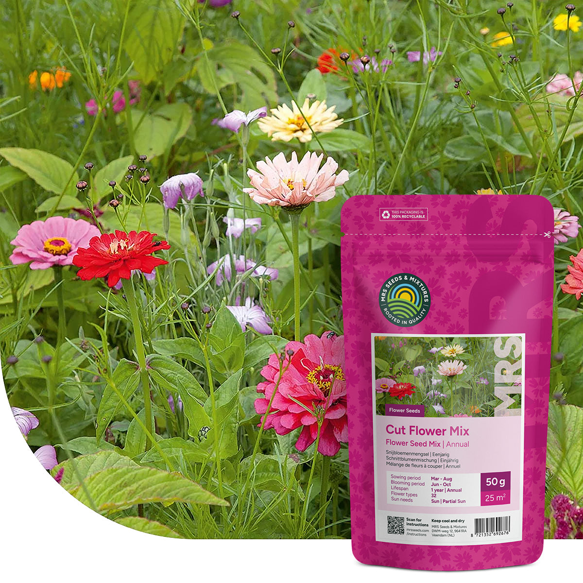 Mélange de fleurs coupées annuelles