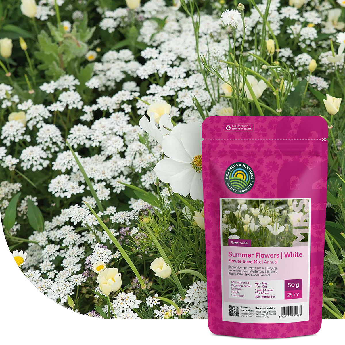 Fleurs d'été Mélange de teintes blanches