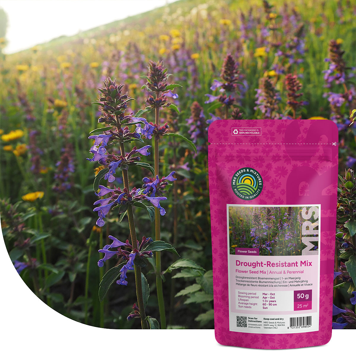 Mélange de fleurs résistant à la sécheresse