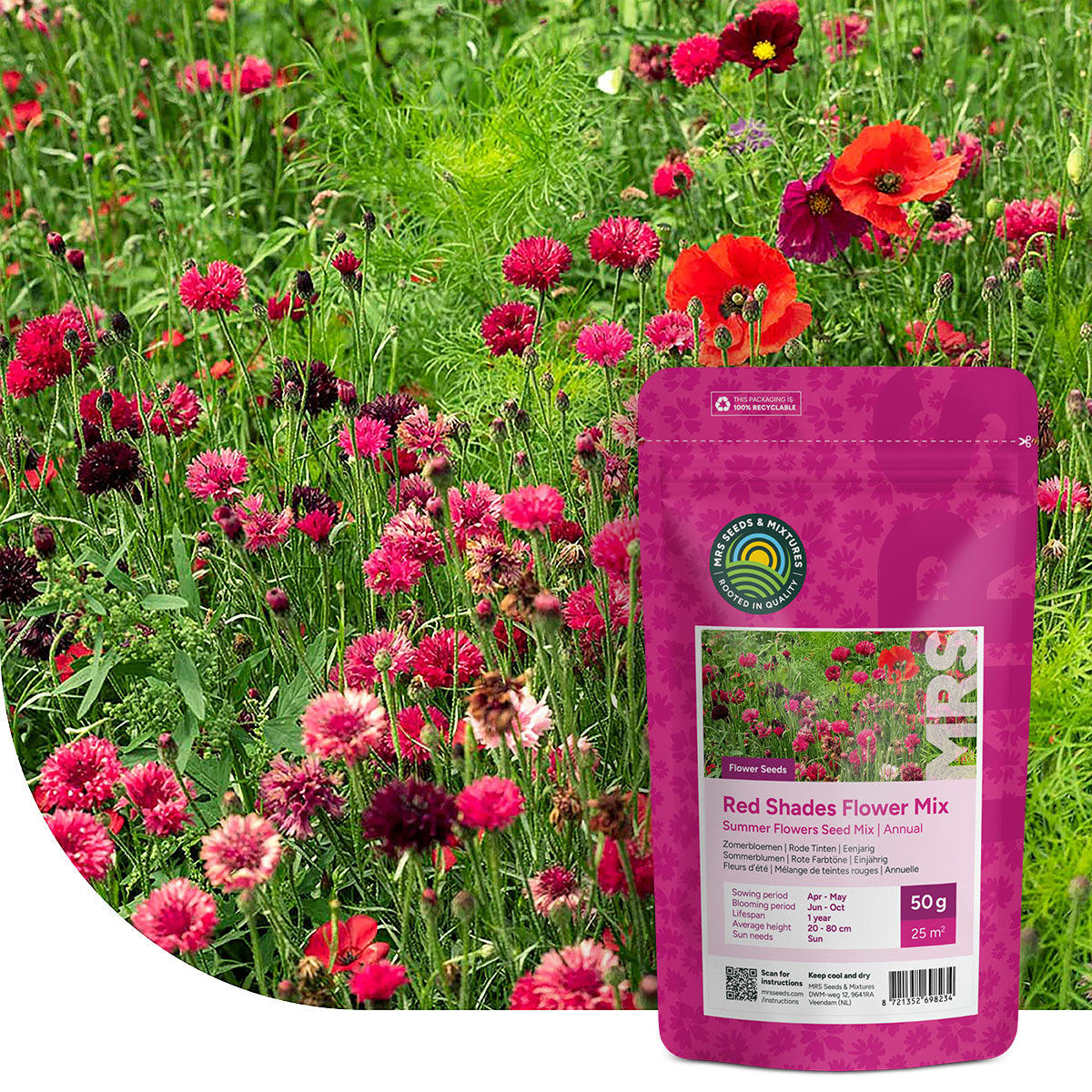 Fleurs d'été – Mélange de teintes rouges