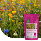 Mélange prairie sauvage basse - annuelles et vivaces