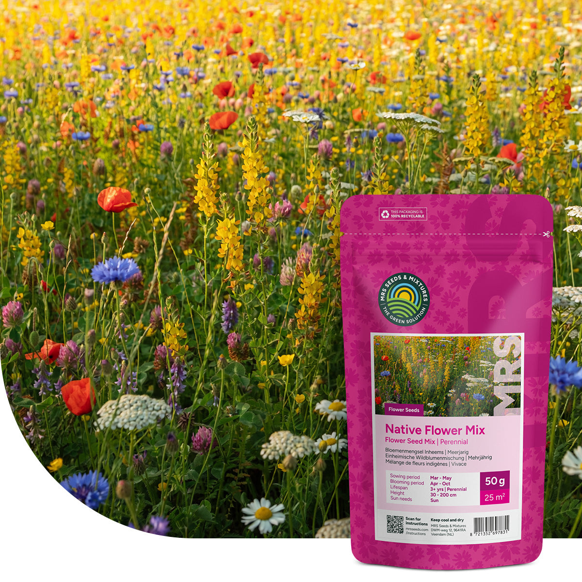 Mélange de fleurs indigènes - pluriannuelles