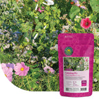 Mélange de fleurs pour coccinelles