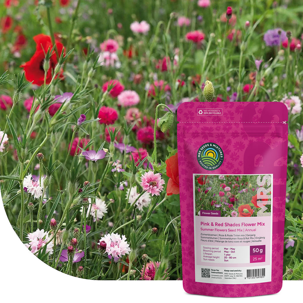 Fleurs d'été – Mélange de tons roses et rouges
