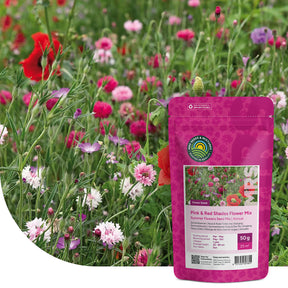 Fleurs d'été – Mélange de tons roses et rouges