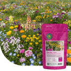 Mélange de fleurs faible pour abeilles - annuelles et vivaces