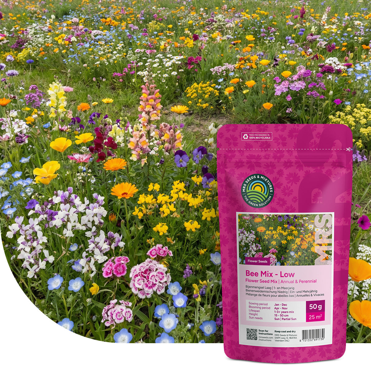 Mélange de fleurs faible pour abeilles - annuelles et vivaces