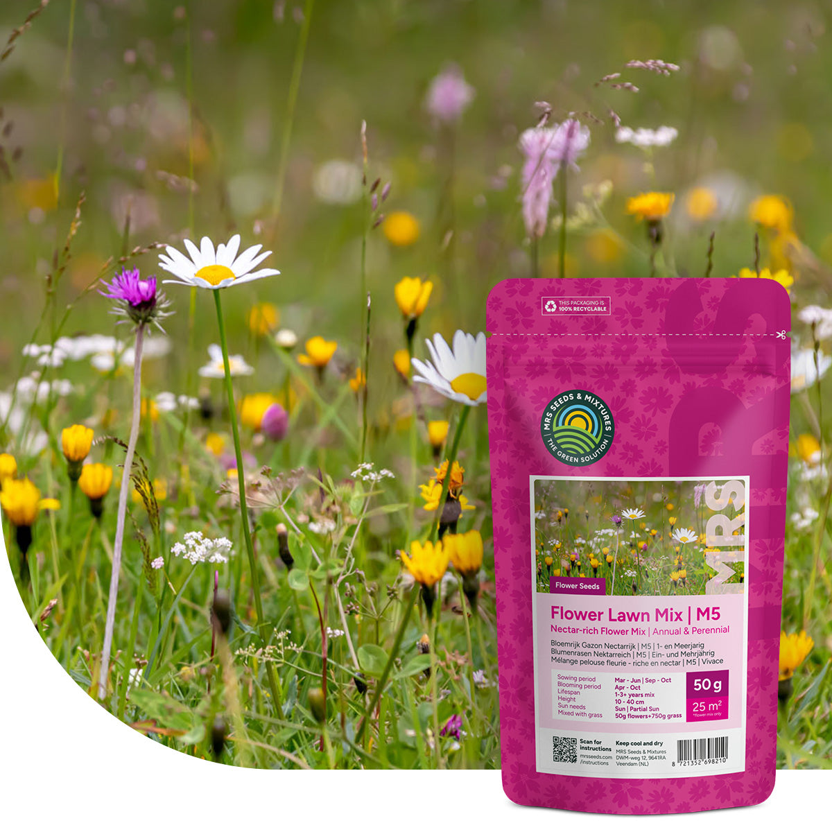 Type M5 - Mélange pelouse fleurie - riche en nectar