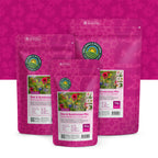 Mélange de fleurs pour abeilles et bourdons