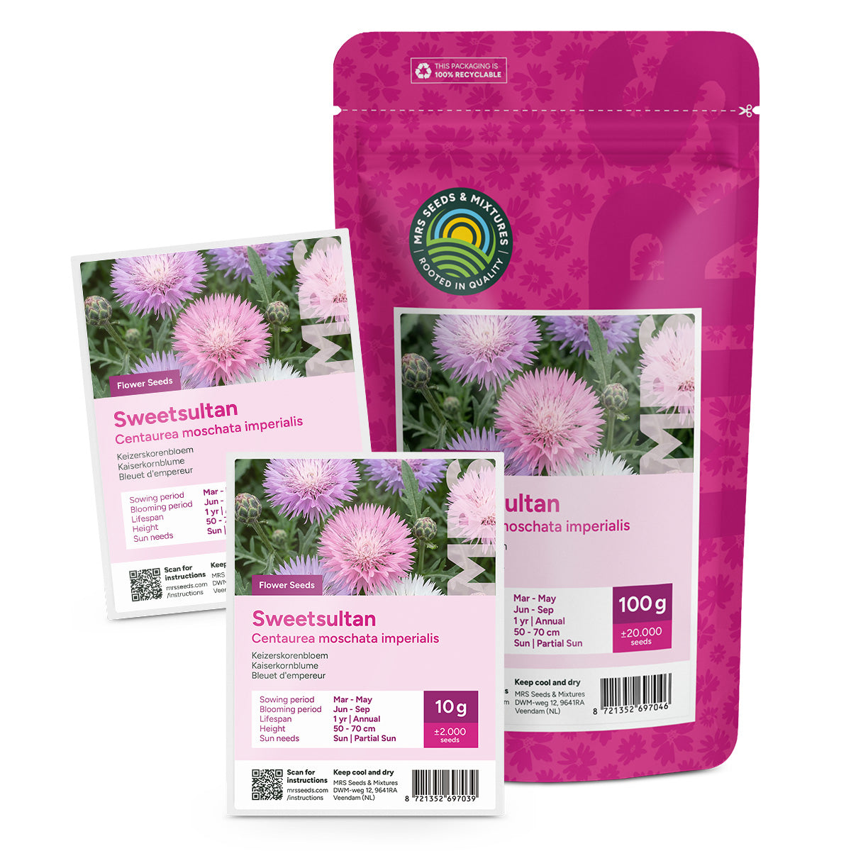 Bleuet d'empereur - Centaurea moschata imperialis