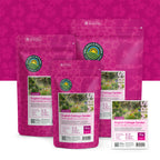 Mélange de fleurs de cottage-garden anglais