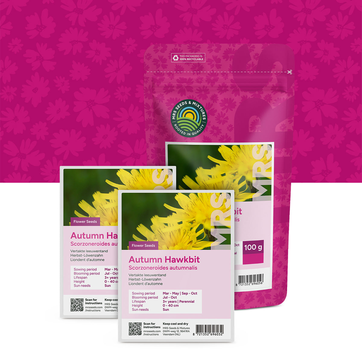 Liondent d’automne – Scorzoneroides autumnalis