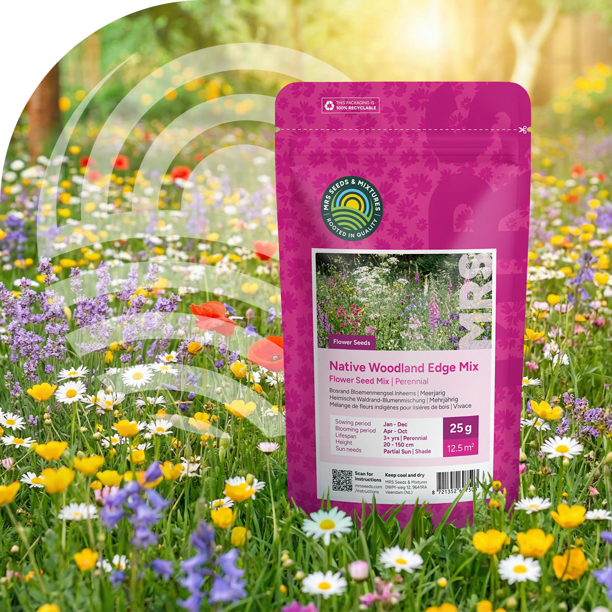 Mélange de fleurs d'ombre indigènes – vivaces