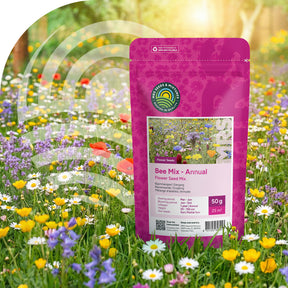 Mélange de fleurs pour abeilles annuelles