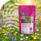 Prairie de fleurs sauvages avec semences de graminées