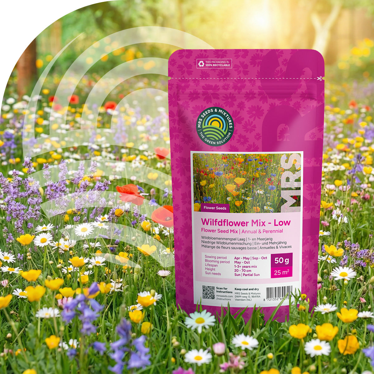 Mélange prairie sauvage basse - annuelles et vivaces