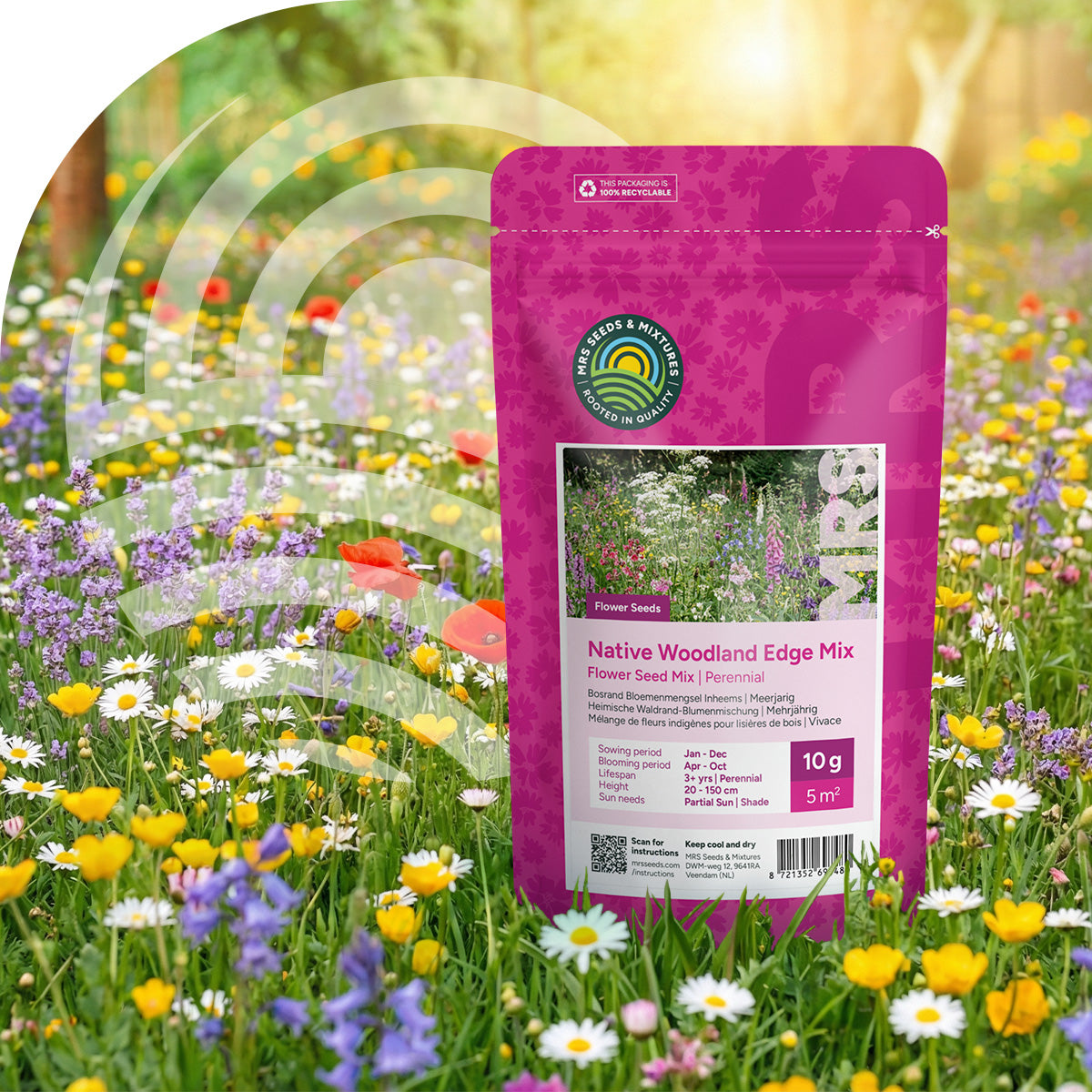 Mélange de fleurs d'ombre indigènes – vivaces