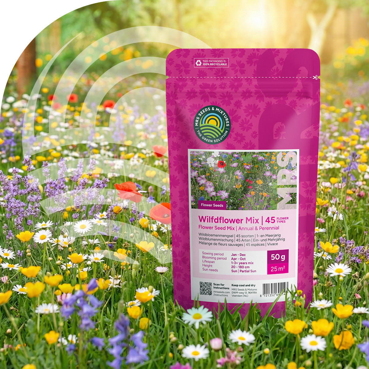 Mélange de fleurs sauvages annuelles et vivaces - 45 espèces