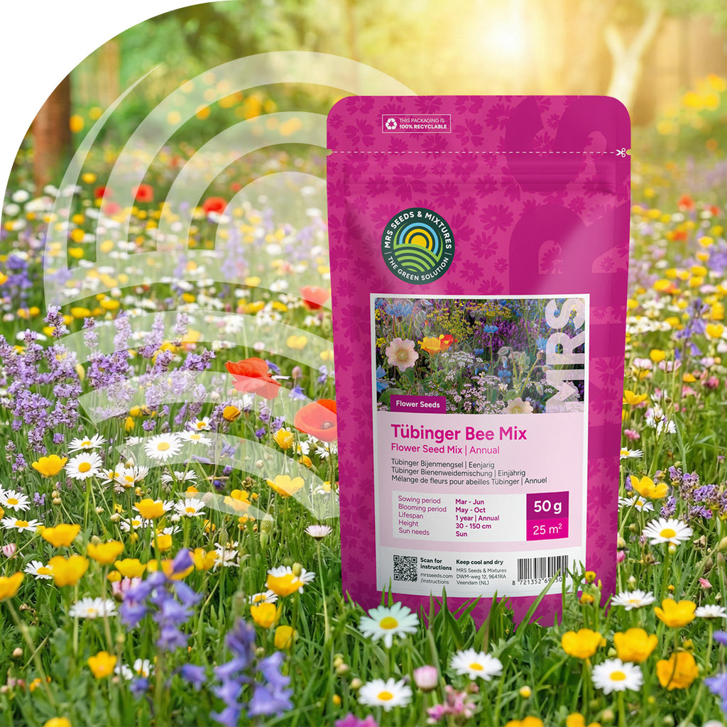 Mélange de fleurs pour abeilles Tübinger