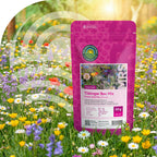 Mélange de fleurs pour abeilles Tübinger