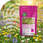 Type M5 - Mélange pelouse fleurie - riche en nectar