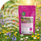 Mélange de fleurs pour jardin de prairie