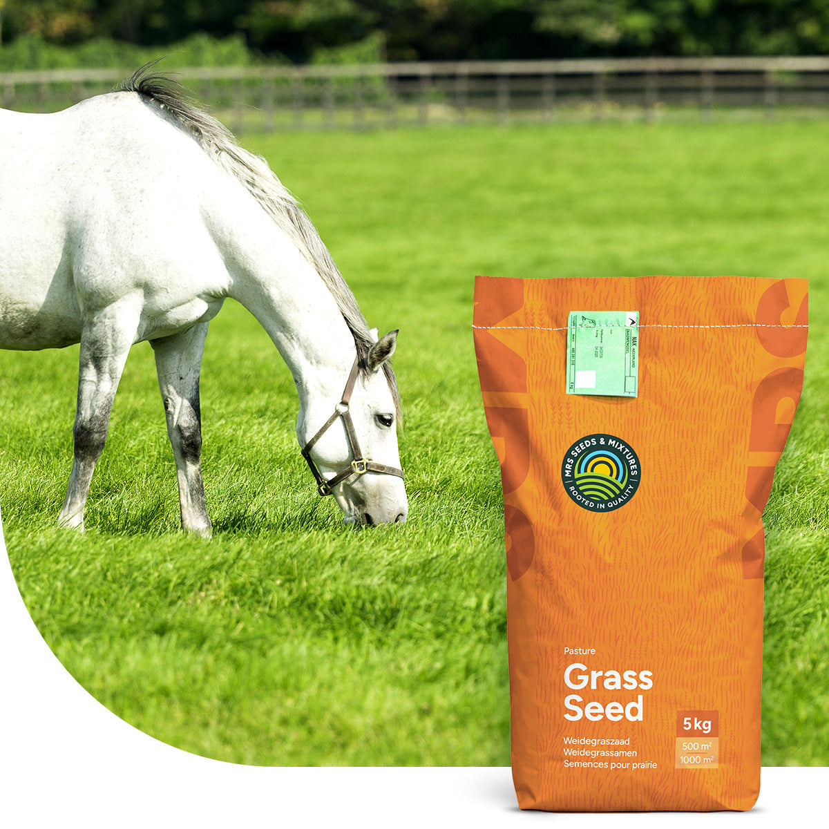 Horse - Elite mix | Prairie pour chevaux et petit bétail