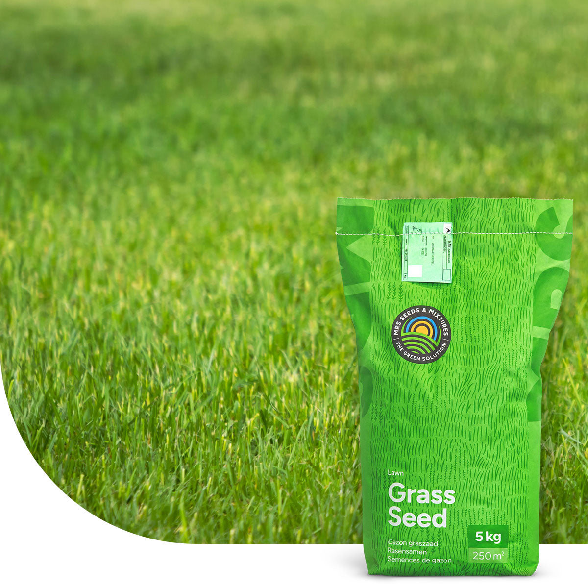 Allround - Gazon loisirs & Universel