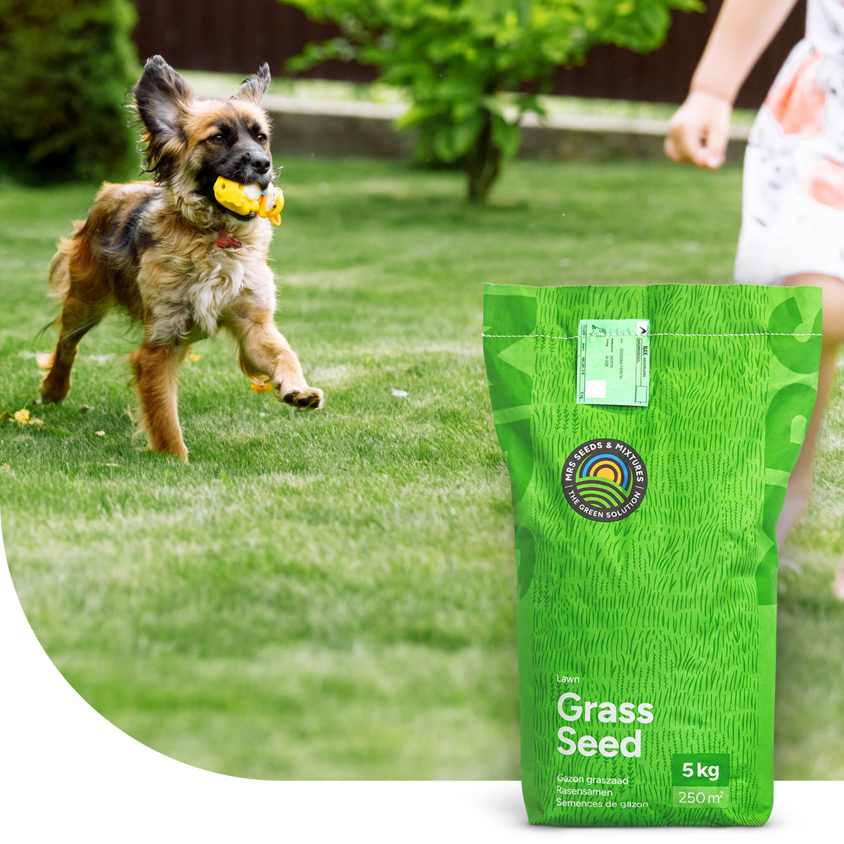 Play & Sport - Gazon Sport et Jeux