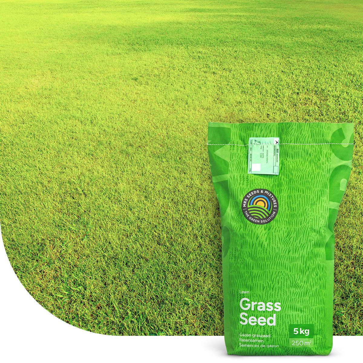 Dry & Strong - Gazon terrain sec | Sans arrosage