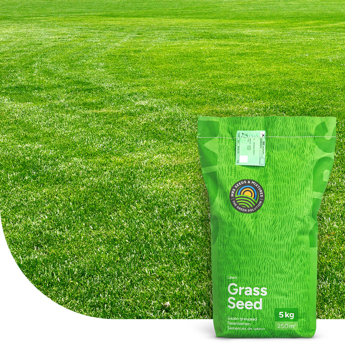 Repair & Restore - Gazon professionnel de regarnissage