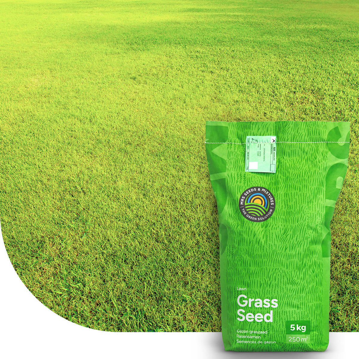 Dry & Strong - Gazon terrain sec | Sans arrosage