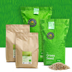 Dry & Strong - Gazon terrain sec | Sans arrosage