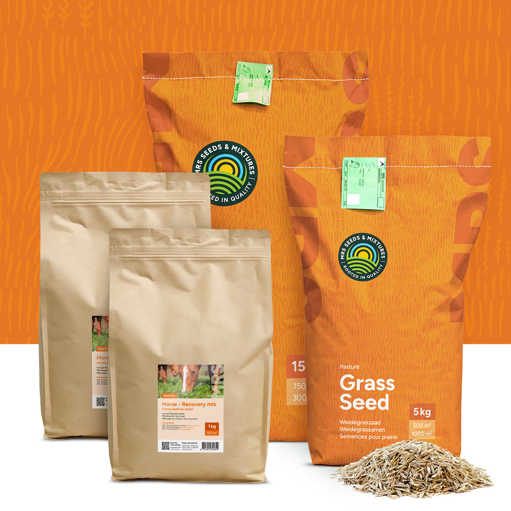 Horse - Recovery mix | Pâturage de chevaux pour sursemé