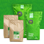 Clover Lawn - Semences de gazon avec micro-trèfle