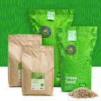 Turbo Green - Semence gazon regarnissage | Pousse ultra rapide