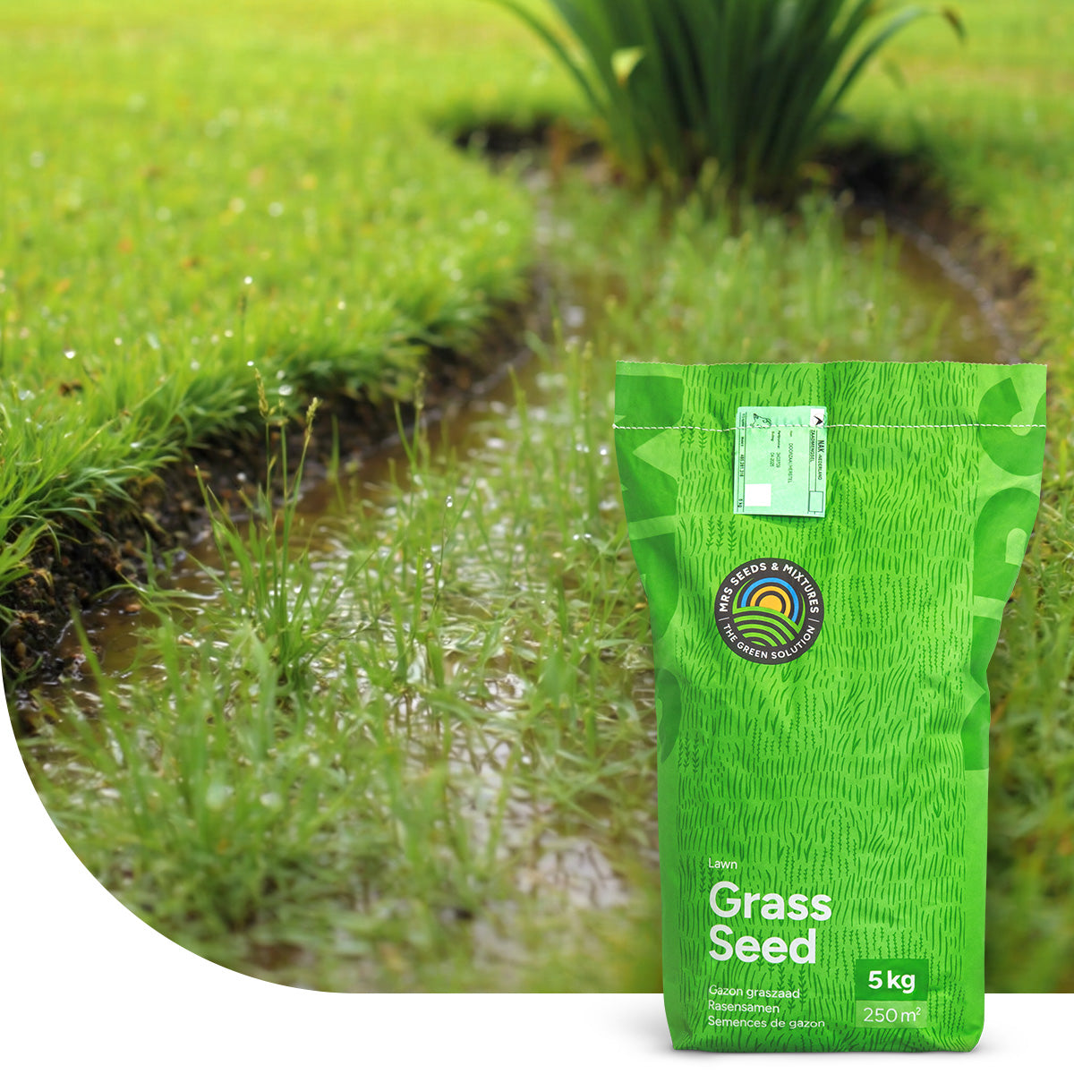 Wet & Strong - RSM 7.3 semences pour sols humides