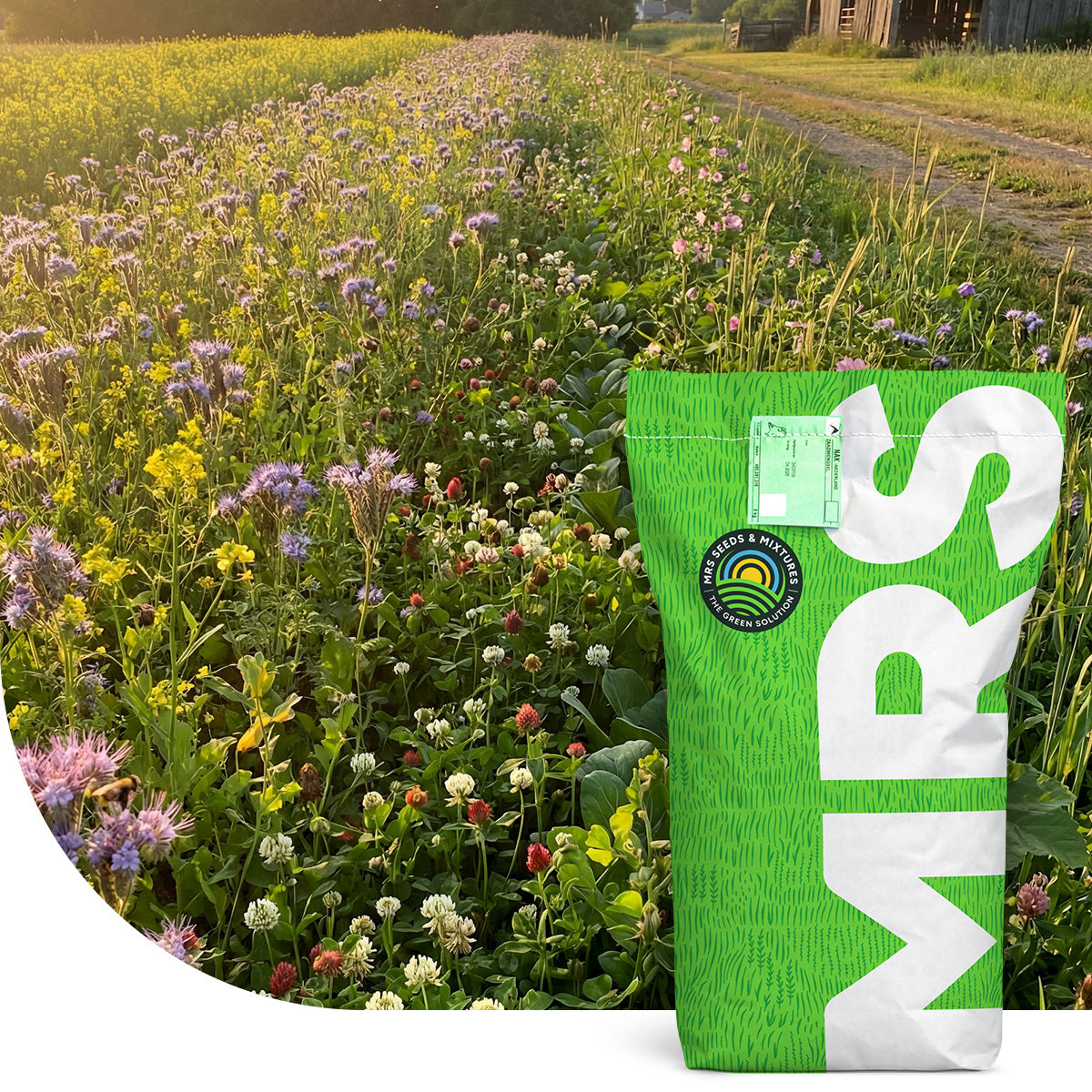 Mélange pour jachère faunistique – annuel