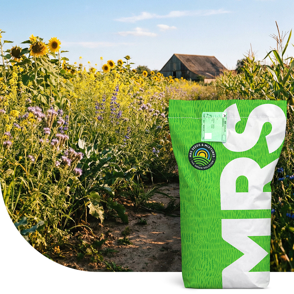 Mélange des champs pour la volaille