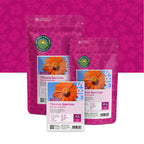 Tournesol Mexicain – Tithonia speciosa