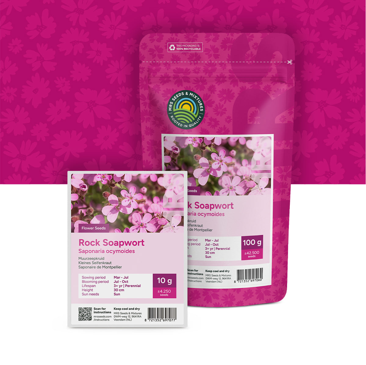 Saponaire de Montpellier – Saponaria ocymoides