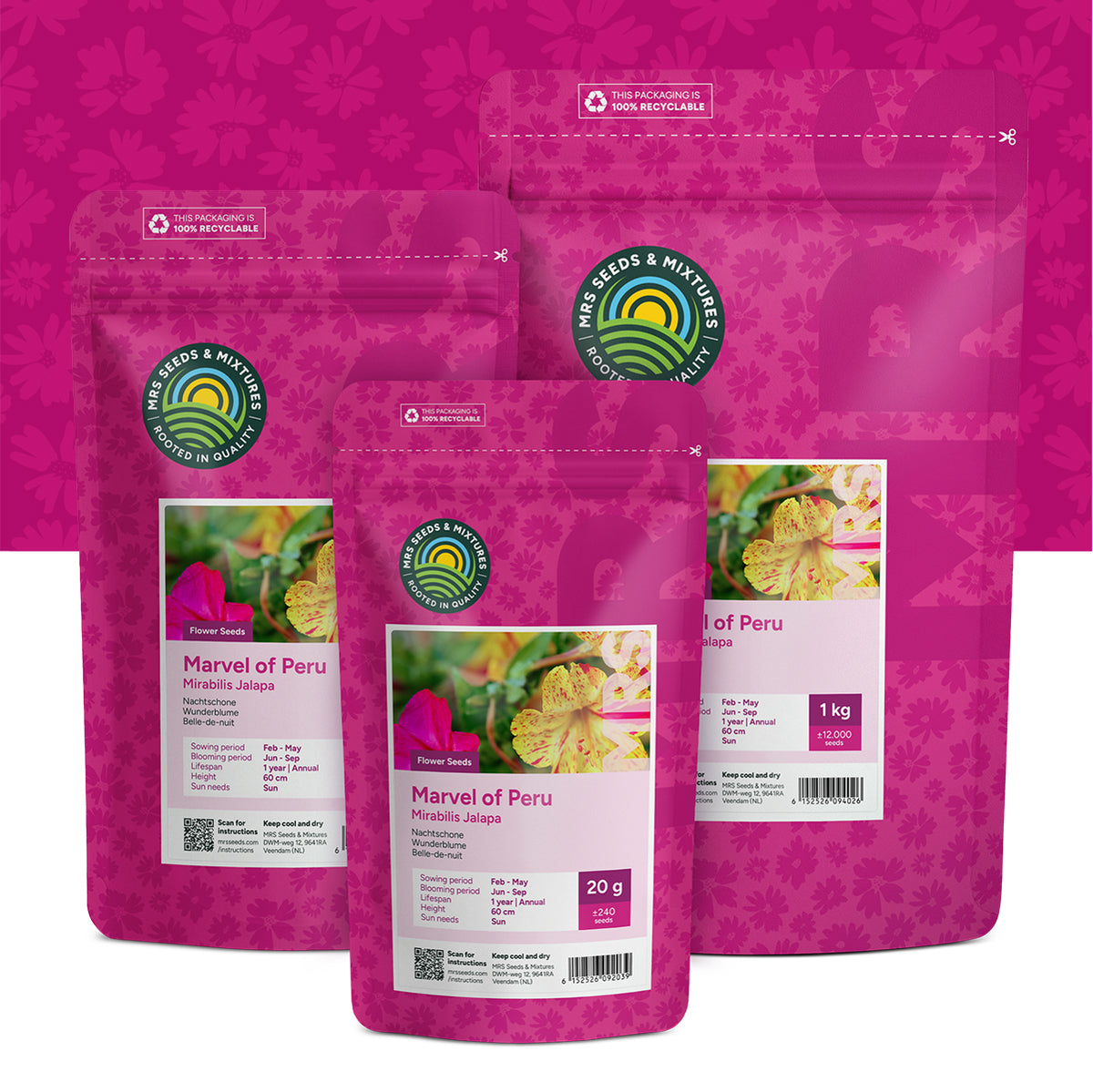 Belle-de-nuit mixte – Mirabilis jalapa