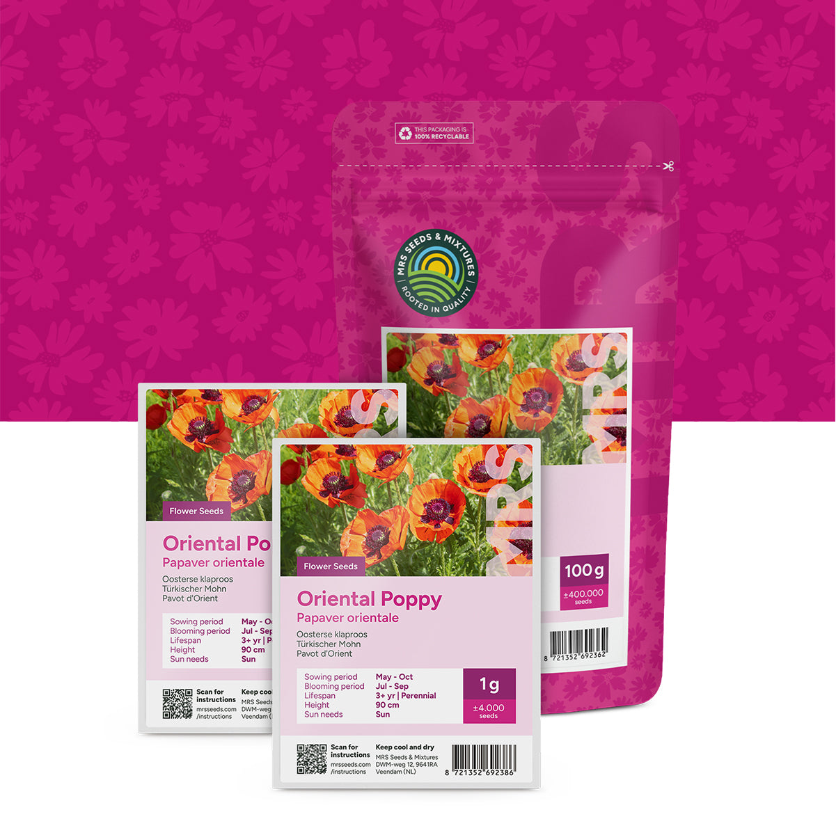 Pavot d’Orient – Papaver orientale