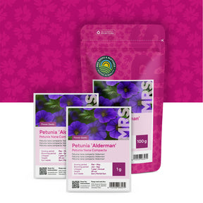 Pétunia nana compacta-Alderman