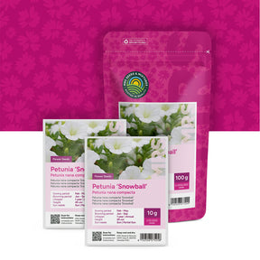 Pétunia nana compacta – Snowball