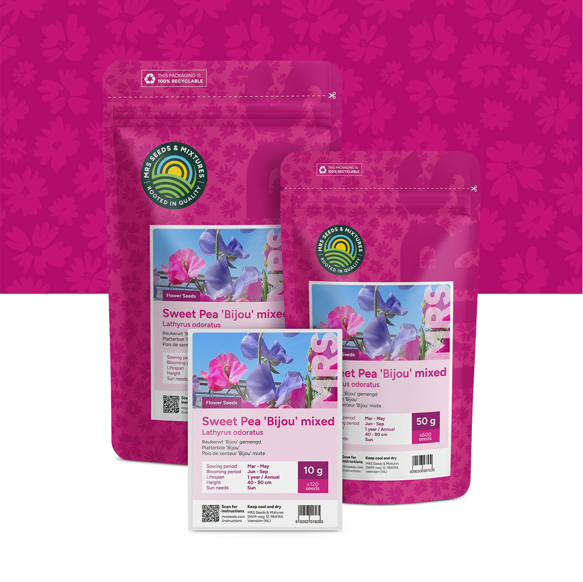Pois de senteur 'Bijou' mixte – Lathyrus odoratus