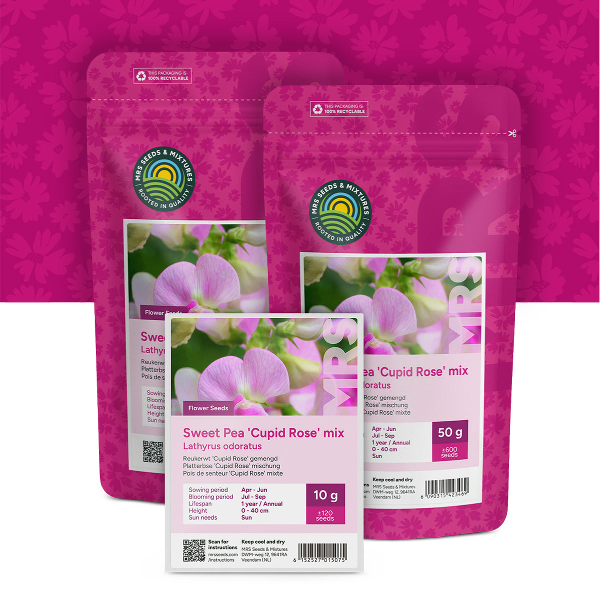 Pois de senteur 'Cupid Rose' mixte