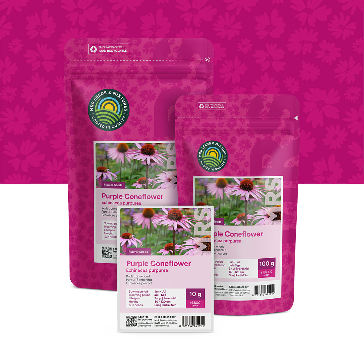 Échinacée pourpre – 'Echinacea purpurea'