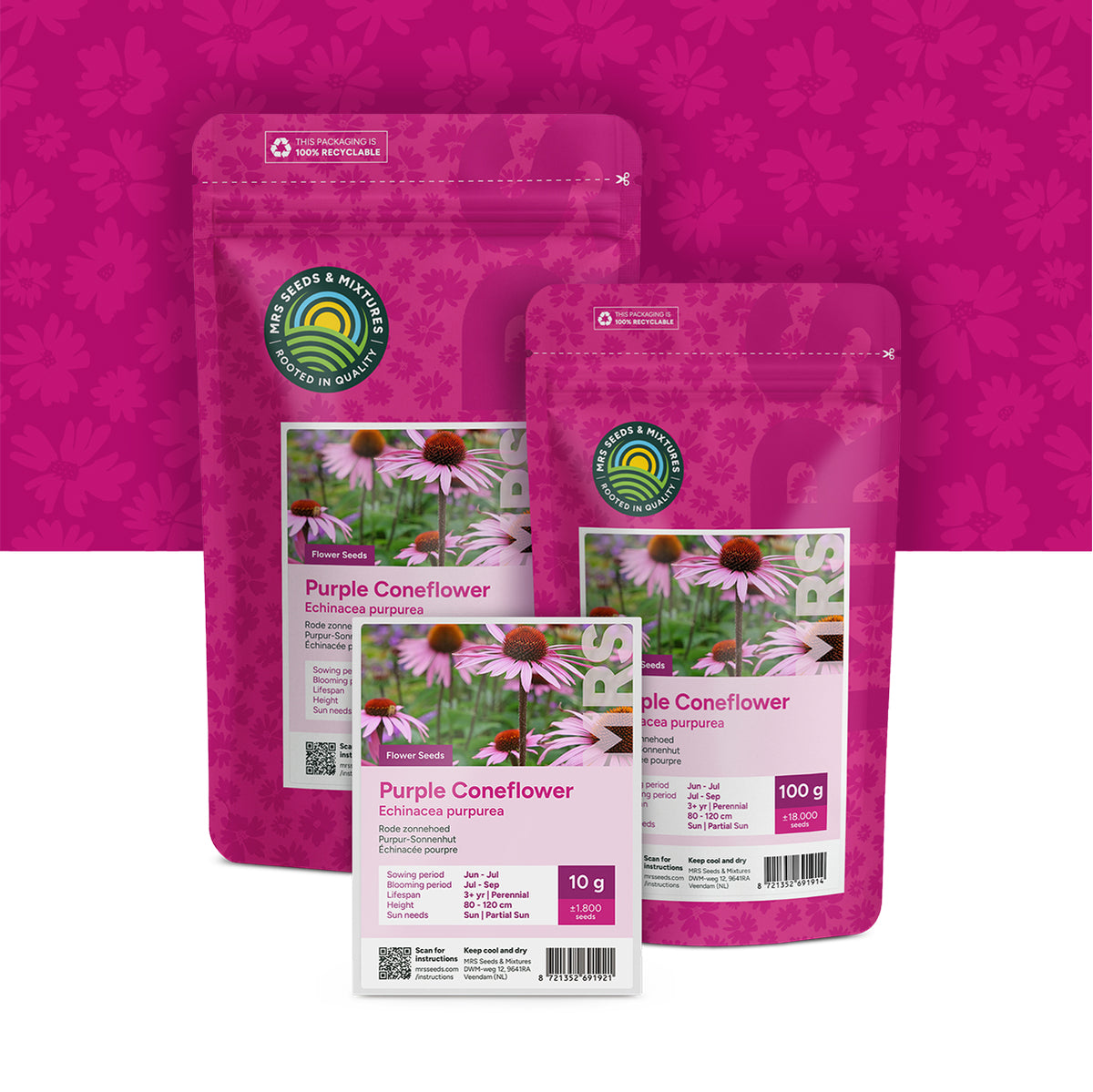 Échinacée pourpre – 'Echinacea purpurea'