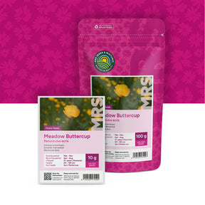 Renoncule âcre – Ranunculus acris